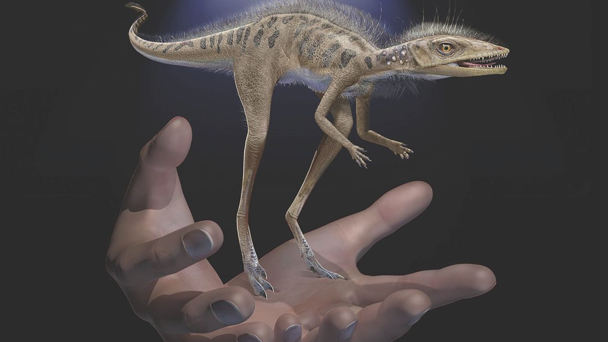 Na Madagaskaru objevili miniaturního předka dinosaurů